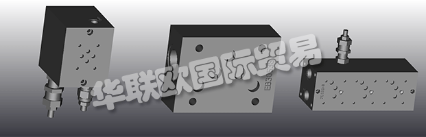 EUROFLUID Hydraulic是一家大型公司，專門生產(chǎn)液壓設(shè)備的歧管。