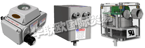 因此被視為AUTOFLAME公司和質量管理體系的主要目標。
