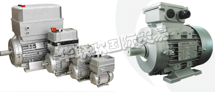 意大利BERMAR公司的主要產(chǎn)品包括：意大利BERMAR電機(jī)、BERMAR電動(dòng)機(jī)、異步電機(jī)、異步電動(dòng)機(jī)、永磁發(fā)動(dòng)機(jī)、逆變器、伺服通風(fēng)電動(dòng)機(jī)、伺服電動(dòng)機(jī)、工業(yè)洗衣機(jī)電動(dòng)機(jī)、單相電動(dòng)機(jī)、DRIVEJET鼓風(fēng)機(jī)、高效電機(jī)、泵、風(fēng)扇、工業(yè)壓縮機(jī)。